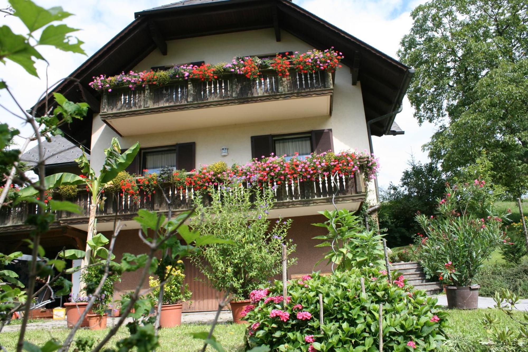 Gasthaus - Gaestehaus Schusterbauer Rein Kültér fotó